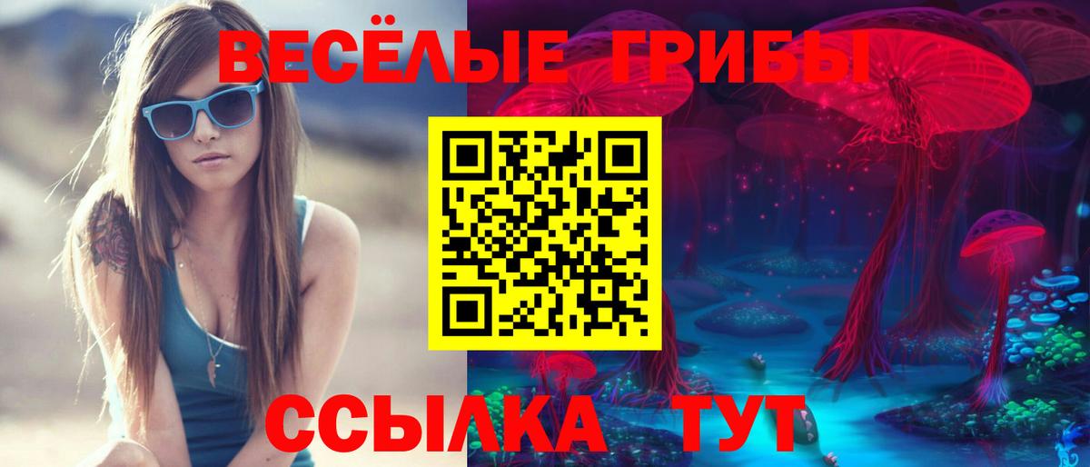Галлюциногенные грибы Psilocybe Лабинск